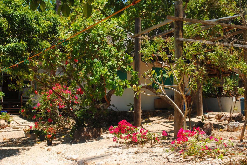 Alam Indah Busuanga Beach And Villas Esterno foto